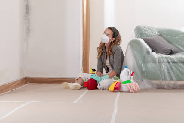 Trusted Basement Mold Remediation service in Belmar, NJ - Cheap Mold Removal